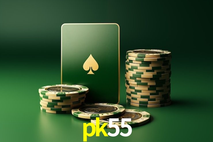 Experiência VIP pk55