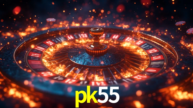 pk55 App Interface